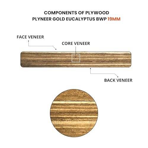Image of Plyneer Calibrated Gold Eucalyptus BWP-Grade Plywood Premium Gurjan Wood for Kitchens & Bathrooms (19mm)-8ft x 4ft
