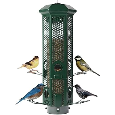 Squirrel Proof Bird Feeders with Removable Base, Metal Wild Bird Feeder for Outdoors Hanging, 6 Weight-Activated Ports Perches, 3LB Seed Capacity(Green)