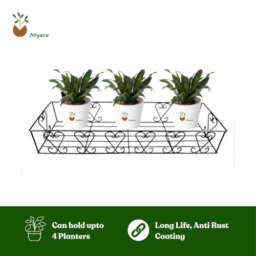 Image of Niyara || Metal Planter Stand || Plant Stand for Pots|| Outdoor Plant Stand (Railing Stand Set of 1)