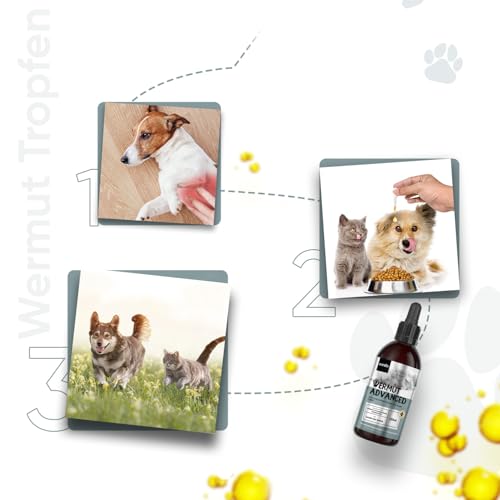 animigo Wermut Tropfen für Katzen & Hunde - 120ml Tropfen - 1+ Jahr Vorrat - Mit Wermut, Schwarzkümmel und Samenextrakt - Alternative zu Wermut Tabletten - Für Katzen und Hunde jeden Alters