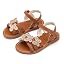 Pc47-brown