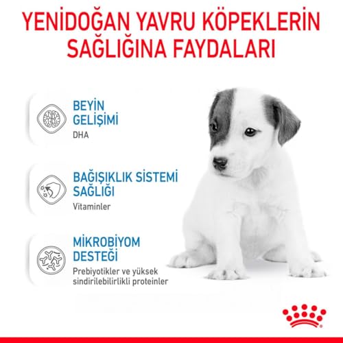 Image of Royal Canin Baby Dog Milk Powder, 400 Grams, Dry Food, Milk Replacer for Puppies, Supports Brain Development & Microbiome, Promotes Body's Own Defenses