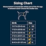 Ruffwear, Front Range Dog Harness, Reflective Soft Padded Everyday Harness with Dual Leash Clips, Adjustable and Lightweight Fit for Training or Walking for All Dogs, Basalt Gray, Medium 4 Ruffwear, Front Range Dog Harness, Reflective Soft Padded Everyday Harness with Dual Leash Clips, Adjustable and Lightweight Fit for Training or Walking for All Dogs, Basalt Gray, Medium 7