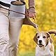Jimkply Leckerlitasche für Hunde, Oxford-Stoff Futterbeutel Hundetraining, Verstellbarer Gürtel, Outdoor-Haustier-Leckerlis-Tasche mit Universell für Katzen und Hunde (Grau)