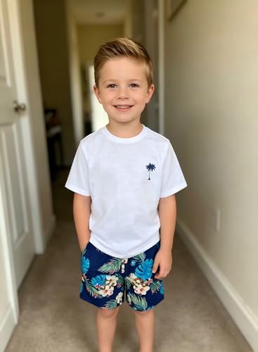 Image of Boys' 2 Piece Summer Outfit Cool Dinosaur & Camouflage Graphic Short Sleeve Tee & Shorts Set Size 4-12