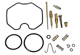 RW 0201-160 Carburetor Rebuild Repair Parts Kit Compatible with Honda