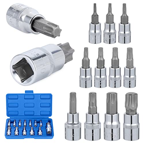 Knpwer 13 Pcs Coffret clés à douille Torx,T8 - T70 Jeu de Douilles à Embouts,Douilles Torx Femelle,Torx Bit Socket Set,Acier au Chrome Vanadium 1/4', 3/8' et 1/2' Drive