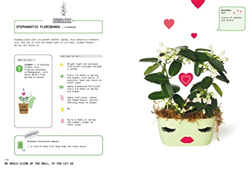 Grow Your Own Pet Plants: A Cute Guide to Choosing and Caring for Your Leafy Friends - Image 2