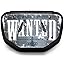 Wanted Silver