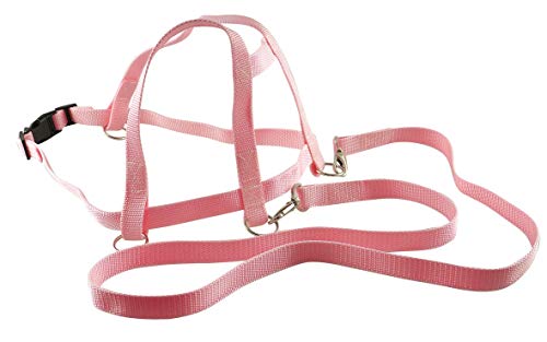 SportFit 675-23 Pferdeleine - Rosa mit Sicherheits-Schnell-Verschluss Pferdchen-Spiel Rollenspiel Cover