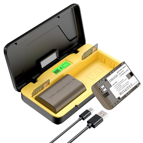 ENEGON LP-E6/LP-E6N Chargeur Rapide de Stockage Double 20W (2X 3000mAh) Compatible avec Canon EOS 5D, EOS 5D Mark II,EOS 6D, 7D, 60D, 70D, 80D, 90D, XC10, XC15, Écran LCD