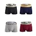 Quicksilk Men's 4 Pack Comfortable Bamboo Fiber Boxer Briefs (M/32-34 Inches, D)