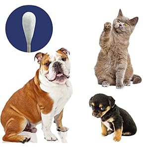   Original-Big-Cotton-Buds-for-Pets--Premium-Cat-and-Dog-Ear-Cleaner-Cotton-Swabs--Soft-Absorbent-Cleaning-Ear-Bud-with-Long-6-Inch-Wood-Handle-200pcs-Large
