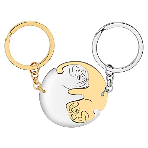 DALANE Llaveros Acero Inoxidable Pareja Perro Cachorro Llavero Coche Mascotas Joyería para Mujeres Niñas Regalos San Valentín (Pug Chapado en Oro + Plateado)
