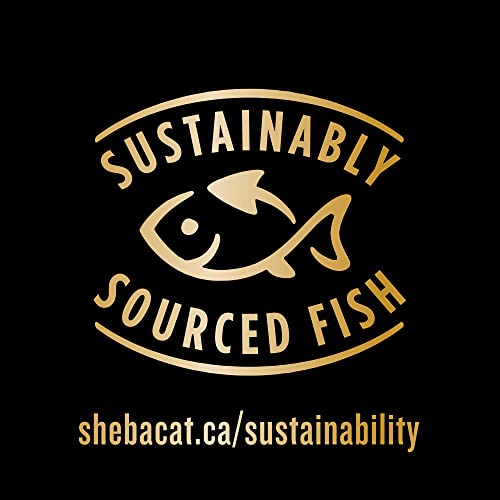 SHEBA Bistro Perfect PORTIONS Cat Food Wet Adult, Paté Gourmet Salmon & Chicken, Savoury Salmon & Tuna and Signature Seafood Entrée Variety Pack, (24) 75g Trays by Sheba - Image 4