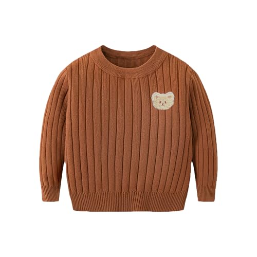 Kids Baby Girls Boys Sweater Knit Crewneck Long Sleeve Pullover Ribbed Bear Embroidery Fall Winter Clothes
