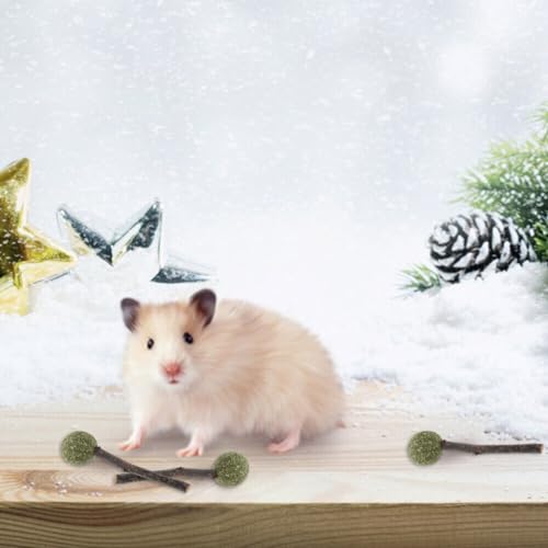 Image of cature Care by Nature Natural Cat Catnip Treat Balls,Pet Catnip Toys,Interactive Kitten Toys,Cats Playing,Cleaning Teeth,Chew Toy For Cat Toy.