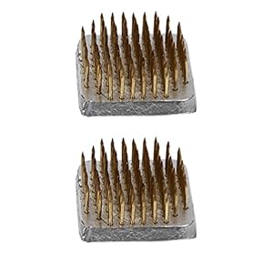 HEALLILY 2 Stuks Bloem Kikker Ikebana Kenzan Vierkante Bloem Arrangeur Messing Pin Bloemen Kikker Bloemstuk Pin Naald…