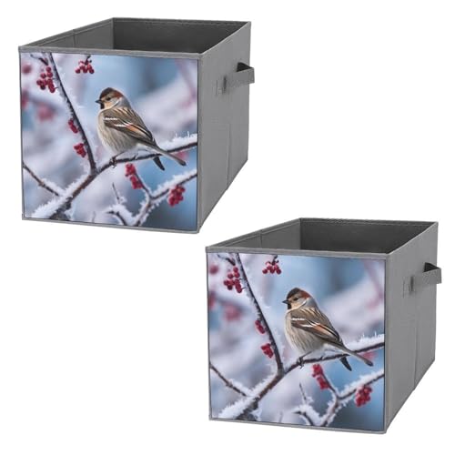 Panier de rangement pour étagères et placards avec boîtes pliables