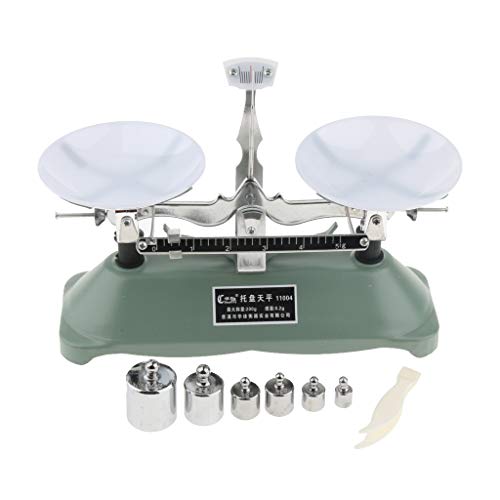 SM SunniMix Modèle d'Échelle Balance de Table Outil d'Enseignement Professionnel de Laboratoire Physique avec 6pcs Poids de Calibrage