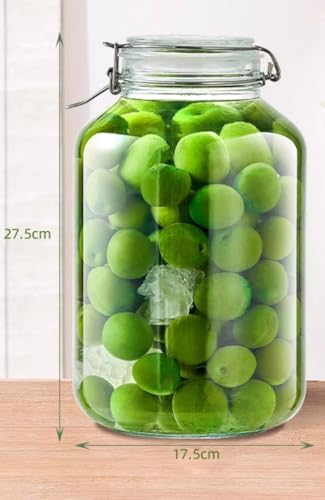 Sefoemut2����H�i�ۑ� �K���X �ۑ��т� �����ۑ��r ���e�� �L���j�X�^�[ �R�[�q�[�� ���t ���� �����r �~�� �т� �ʎ��� �Â��� (�~�`,4800ml) [���s�A���i]