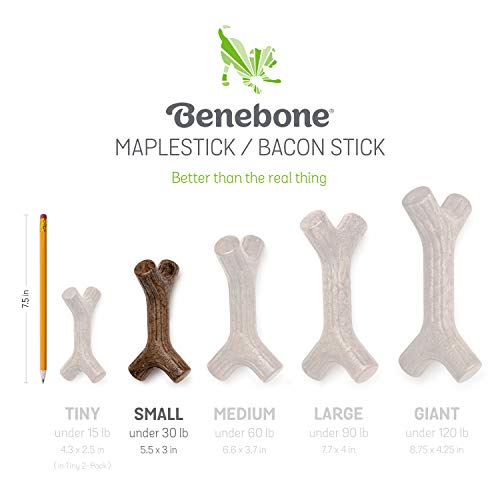 Image of Benebone Maplestick Durable Dog Chew Toy for Aggressive Chewers, Real Maplewood, Made in USA, Small (Pack of 2)