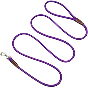 Small Dog Leash, 1/4″ by 6/8/10 FT Lightweight Strong Nylon Rope Leash, Bright Classic Leash for Small Pets/Puppy/Cat (10ft, Purple)