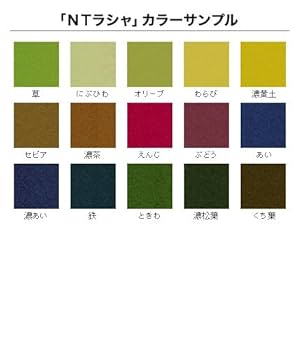 Amazon | NTラシャ 4/6判/10枚 朱 031663_64 | 画用紙 | ホビー