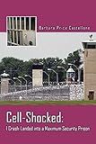 Cell-Shocked: I Crash-Landed into a Maximum Security Prison