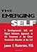 The Emerging Self: A Developmental,.Self, And Object Relatio: A Developmental Self & Object Relations Approach To The Treatment Of The Closet Narcissistic Disorder of the Self