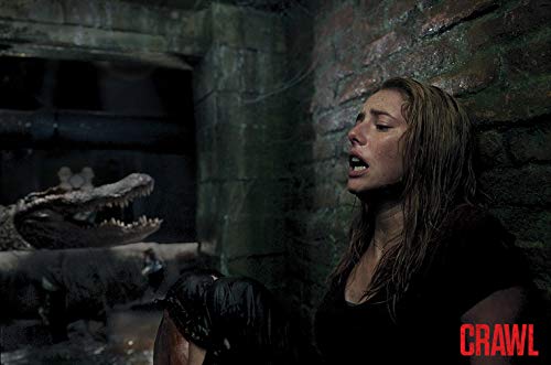 Crawl –  4K Steelbook (UHD + Blu-ray Disc)