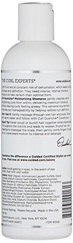 Ouidad Curl Quencher Moisturizing Shampoo, 8.5 Fl Oz #TOP1
