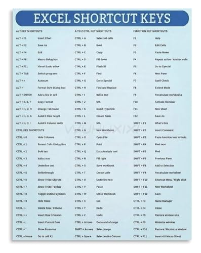 Professional Workspace Art Excel Shortcut Keys Reference Canvas Poster for Desk Organization(Unframed,16x24inch(40x60cm))