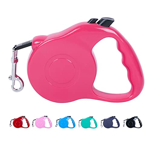 Top 10 Best Leash For Small Dogs Reviews & Buying Guide Katynel