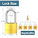 DELSWIN Weatherproof Padlock with Key (Keyed Alike) - Heavy Duty Solid Brass Locker Lock with 1-9/16