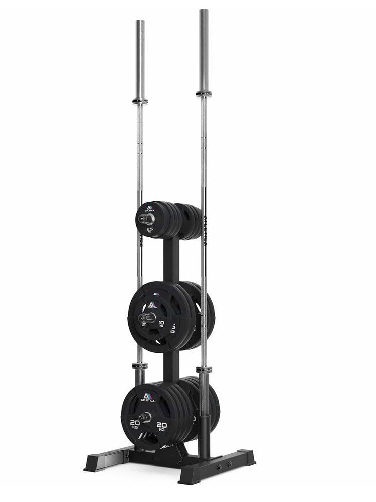 ATLETICA Rhino Storage | Ablage für Gewichte | Ablage für Ø 50 mm Scheiben und Stangen | Mehr Ordnung im Gym | Platzsparend | Hochbelastbar | Gummiprotektoren | 21 kg