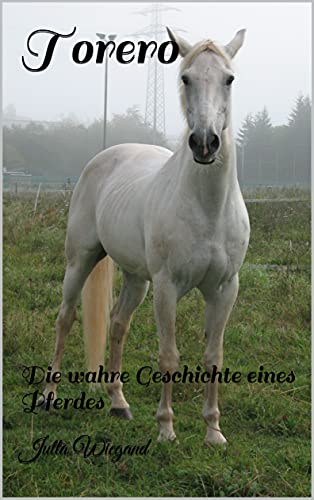 Torero: Die wahre Geschichte eines Pferdes (German Edition)