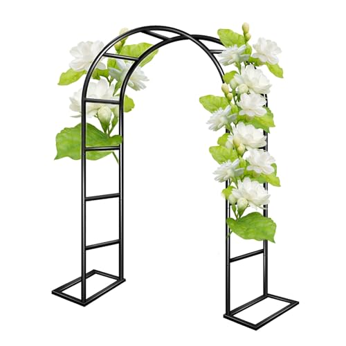 Arche de jardin en métal blanc 5x2,20m pour plantes grimpantes et pergola