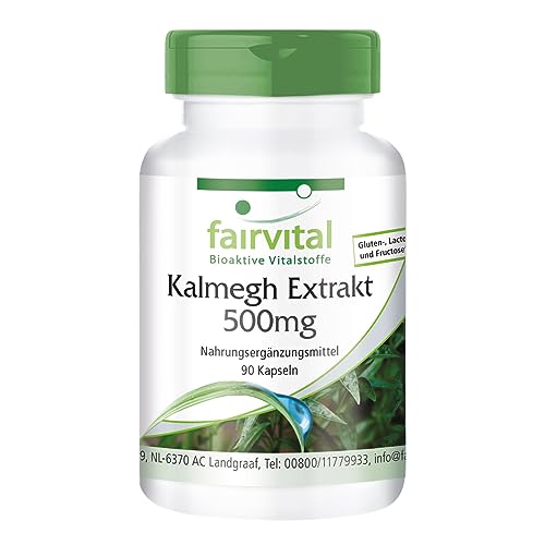 Fairvital | Kalmegh Extract 500 mg - 90 Capsules 5 Times Concentrated Kalmegh Leaf Extract - for 3 Months - Tested Quality and high Dosage - 100% Vegan - Made in Germany.