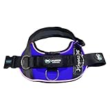 Joyride Harness LED Light Up Dog Harness 2.0 - Patent Pending Design, 3 LED Modes, Vibrant Rechargeable Lighting, Customizable Name Tag Area, and Convenient On/Off Button for Enhanced Pet Safety