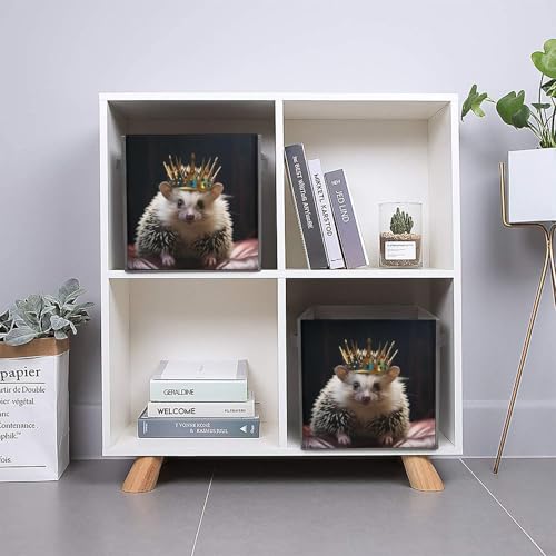 Boîtes de rangement pliables couronne hérisson et paniers à linge