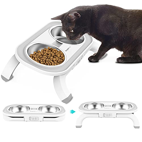 BurgeonNest Elevated Cat Food Water Bowl Set, 15°Tilted Raised Cat Dishes with Stand for Indoor Cats Puppy, Stainless Steel Pet Bowls No Spill Cat Feeding Station BurgeonNest Elevated Cat Food Water Bowl Set, 15°Tilted Raised Cat Dishes with Stand for Indoor Cats Puppy, Stainless Steel Pet Bowls No Spill Cat Feeding Station