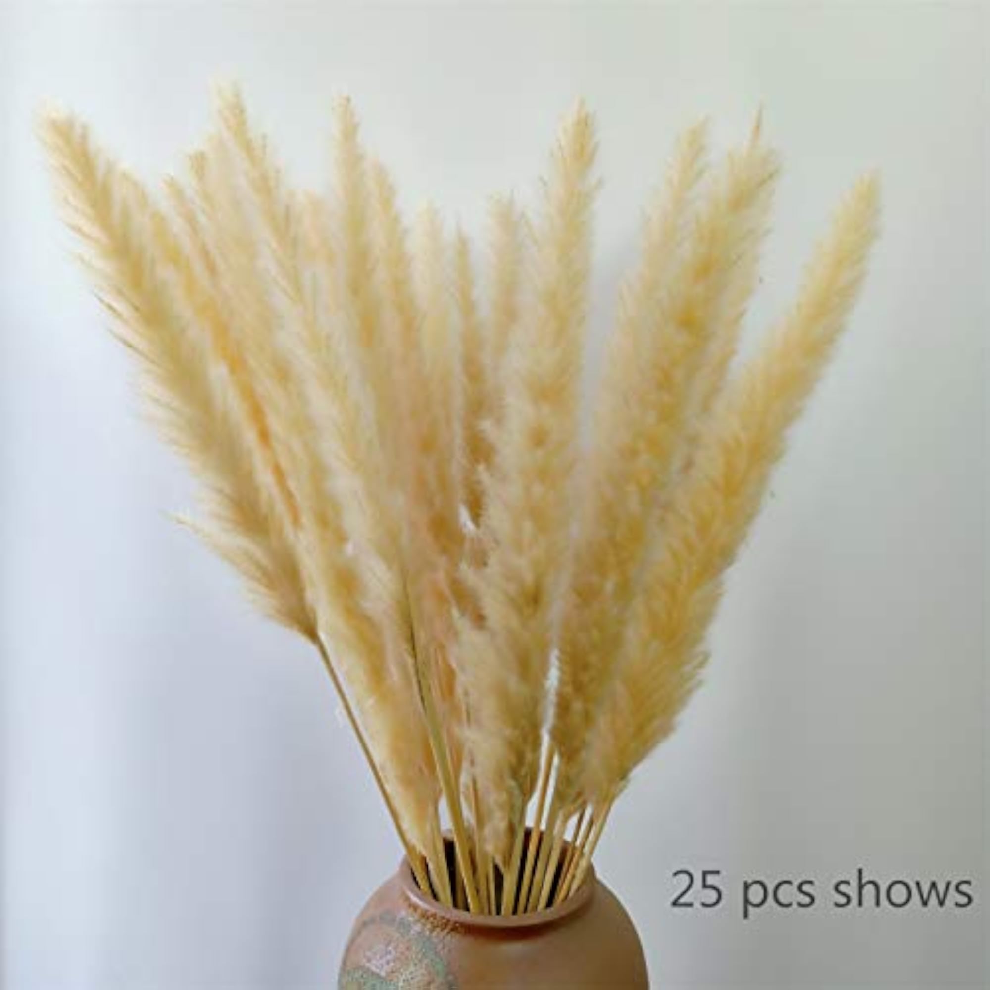 Feather Small Pampas Grass Bunch for Wedding Decor