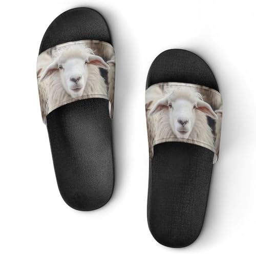 Sandales chaussons de maison slide 37 mouton blanc contre les sols glissants