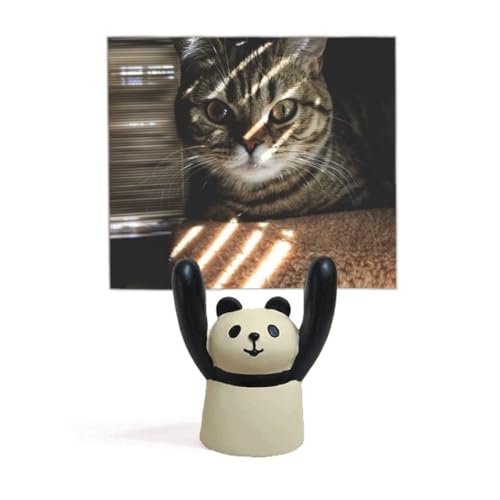 Support de photo chat et panda stable pour mémo et cartes postales