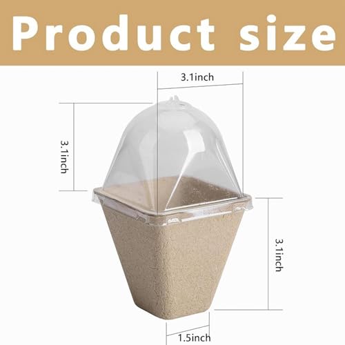 Macetas de siembra con cúpula contra la sequedad: vasos con orificios de drenaje 7