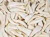 Twenty Five (25) Assorted Random Un-Drilled Genuine Whitened Water Buffalo Teeth #3
