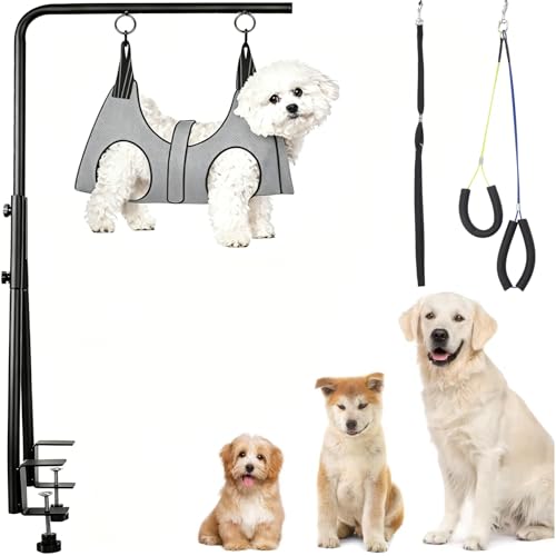 View 2