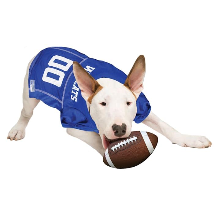 Image of Pets First NCAA College Kentucky Wildcats Mesh Jersey for Dogs & Cats, X-Large. Licensed Dog Jersey with Your Favorite Football /Basketball College Team