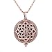 Produktbild Aromatherapie-Anhänger Durchbrochene Muster Aroma Diffusor Halskette Rose Gold Medaillons Anhänger Parfüm Ätherisches Öl Aromatherapie Medaillon Halskette Mit Pads
